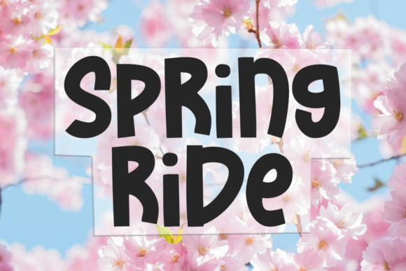 Spring Ride: A Bold Display Font
