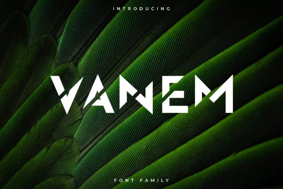 Vanem: A Bold Display Font for Web Design